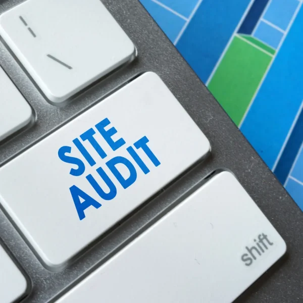Website Performance Audit